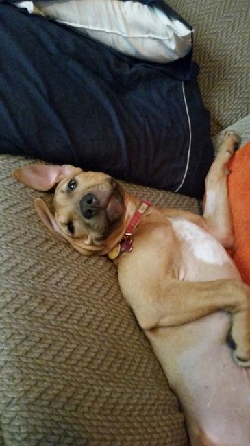 NWR- Furbaby Friday
