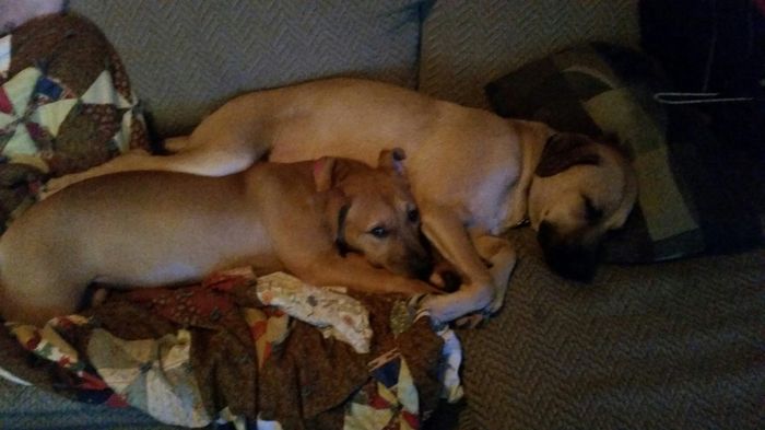 NWR- Furbaby Friday
