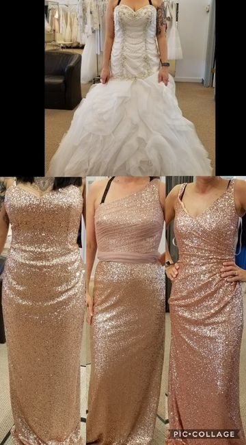 Bridesmaid’s Dress Drama 1