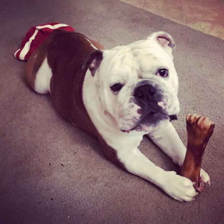 Opinions needed - TABLETOP - pic heavy