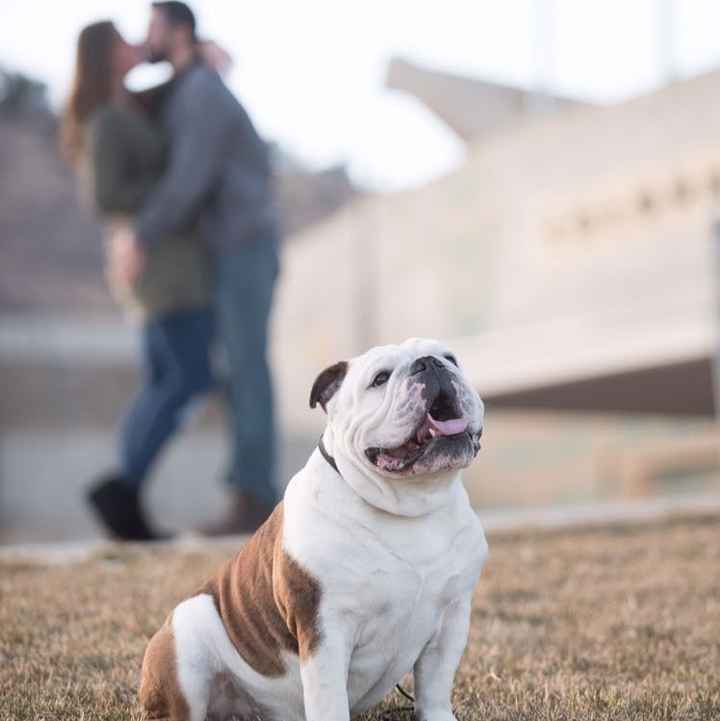 Sneak Peek for our engagement photos - what do you think? WARNING: ADORABLE BULLDOG INCLUDED