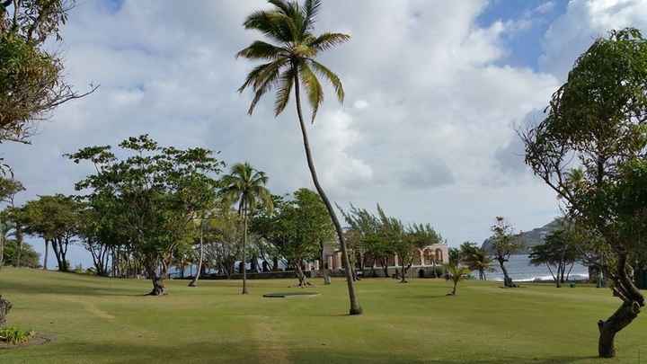 Debating on three different places...