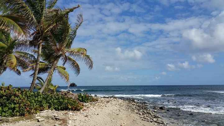 Debating on three different places...