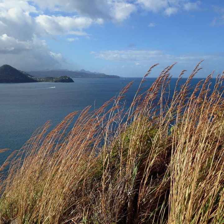 Debating on three different places...