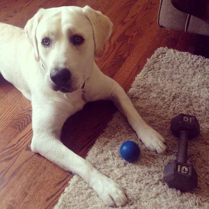 Got a new puppy, lets see a pic of your pets