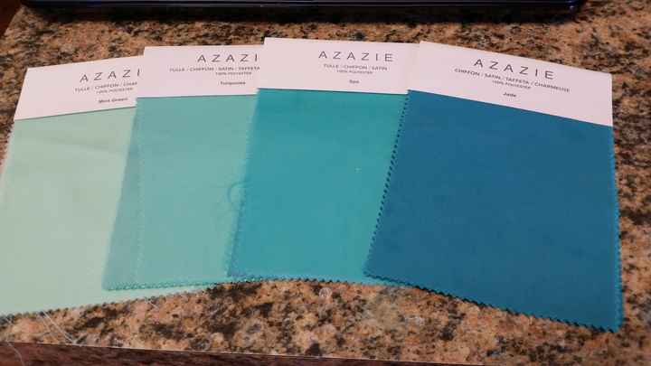 BM Dress Color Help!