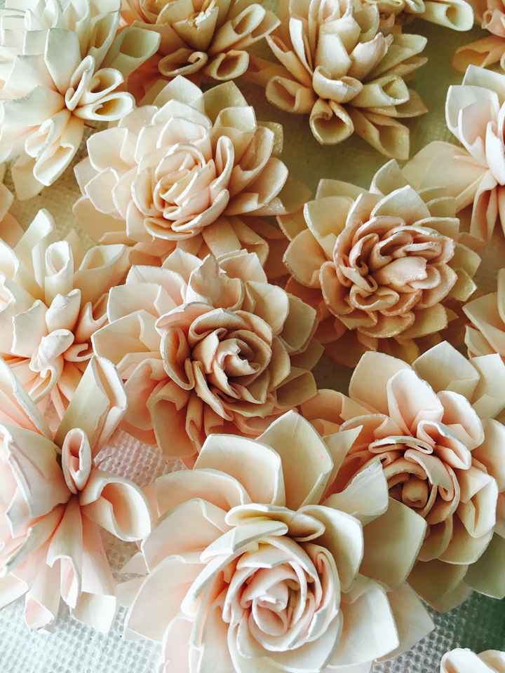 Over 1000 SOLA FLOWERS!!!