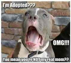nwr: Who would you adopt/like to be adopted by?