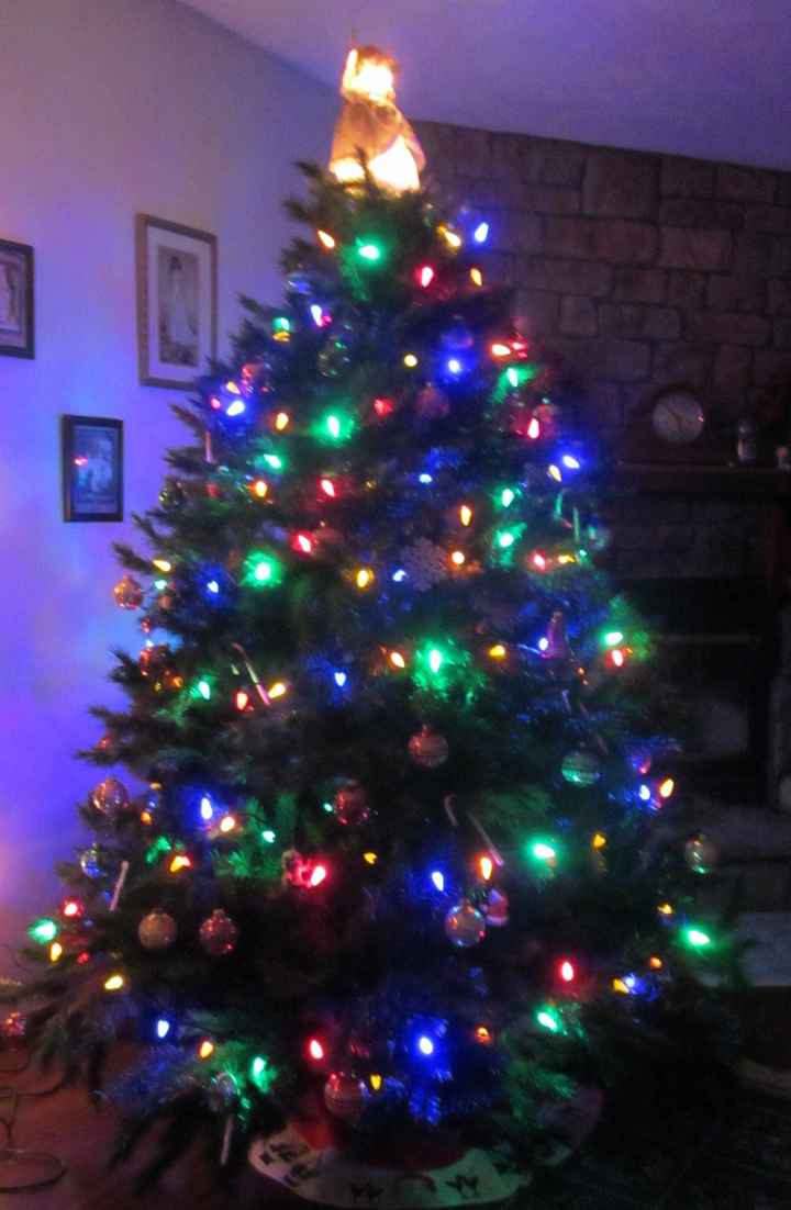 nwr: our tree is up!