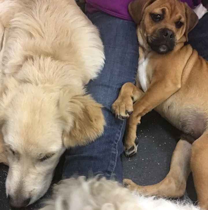 NWR, to cute not to share. *puppies*