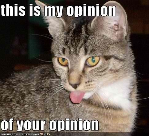Who Made Vow Renewal "Rules"? (semi rant)
