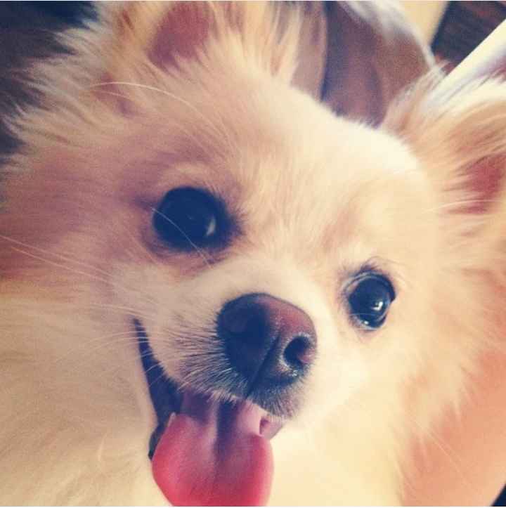 NWR: Show me your fur babies