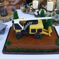 Let me see those grooms cakes!