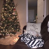 Show me your holiday photos!