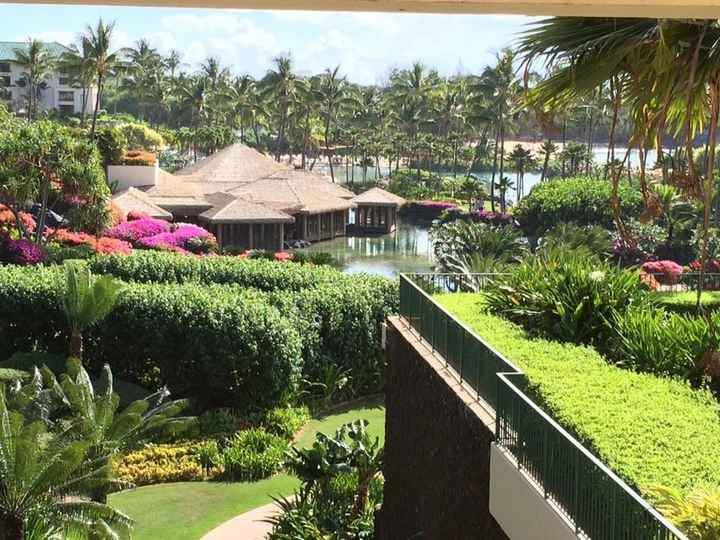 Kauai Hotel for Honeymoon