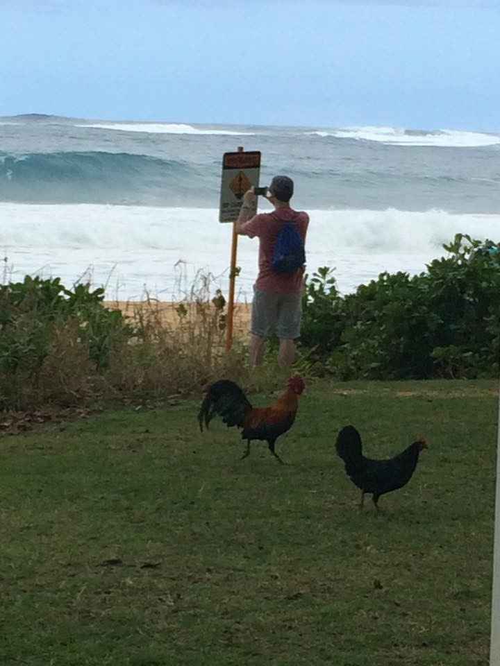 Kauai Hotel for Honeymoon