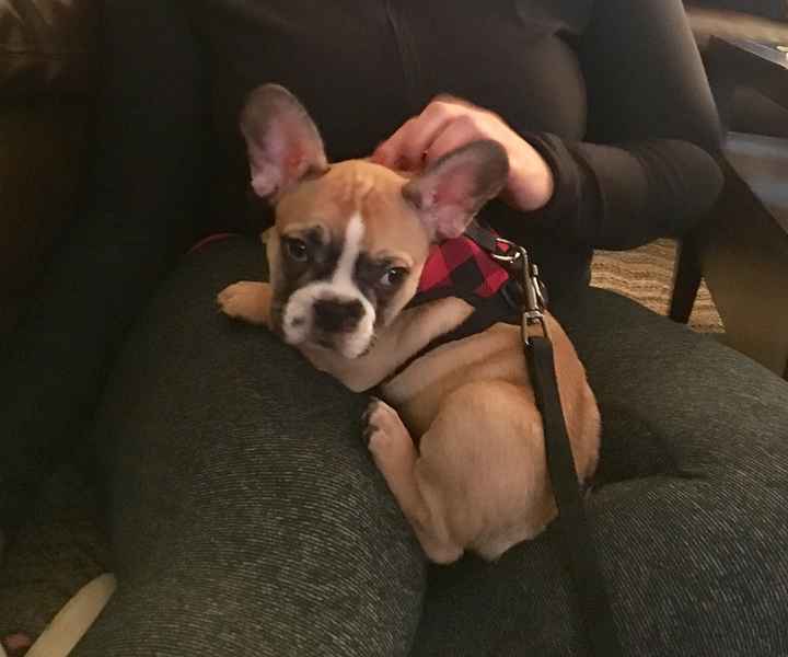 Early wedding present.