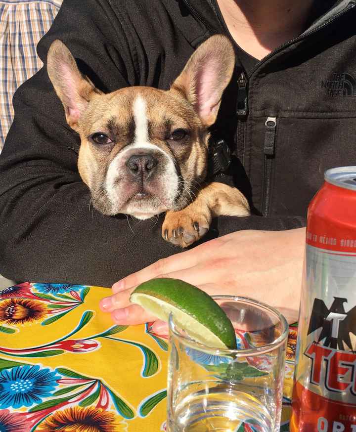 NWR: My pup thinks she's people. She's right. Show me your "people pups!"