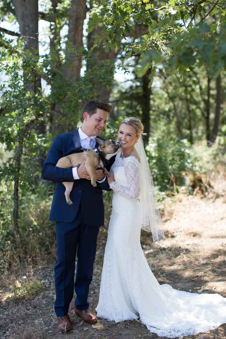 AK's Sneak Peek PRO & Non- Pro BAM!