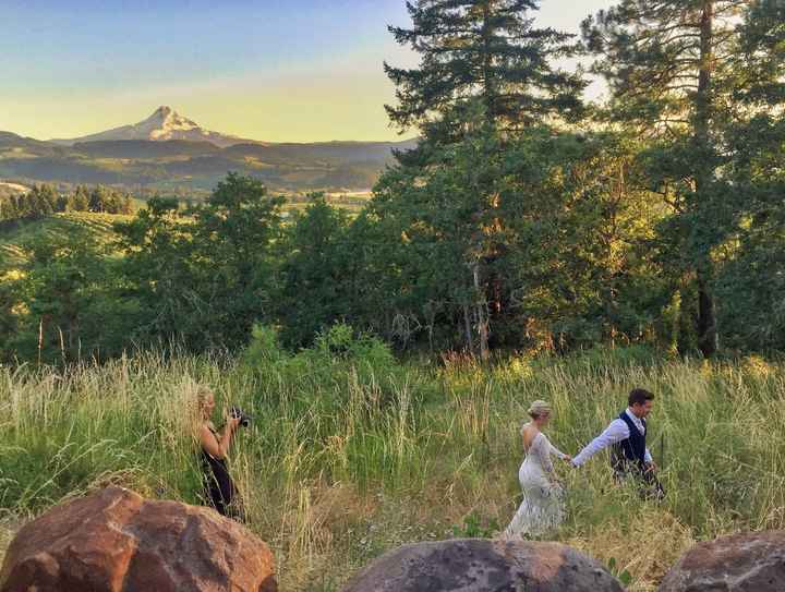 AK's Sneak Peek PRO & Non- Pro BAM!