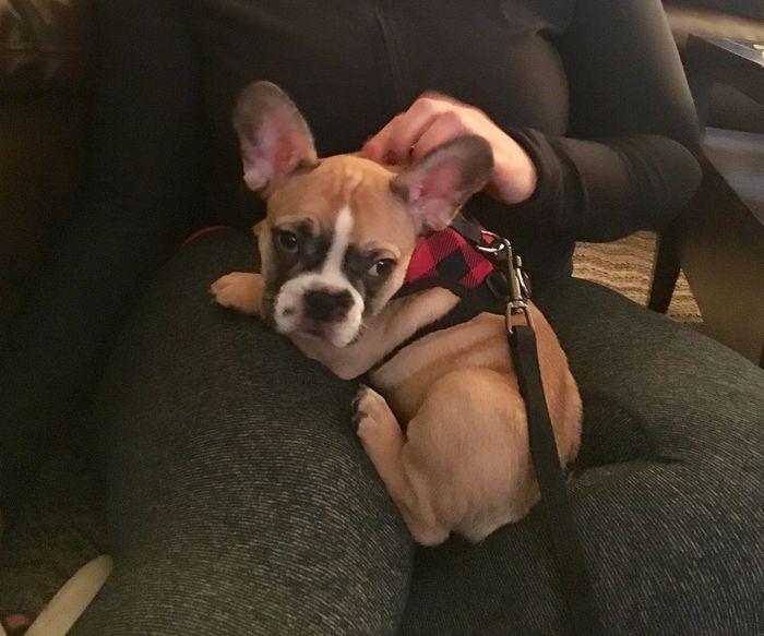 Early wedding present.