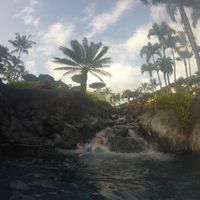 Kauai Hotel for Honeymoon