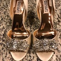 Badgley Mishka Shoes - photos?