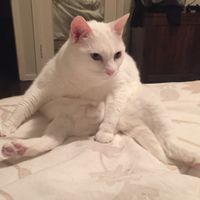 NWR- let me see your fur babies, awake and scared