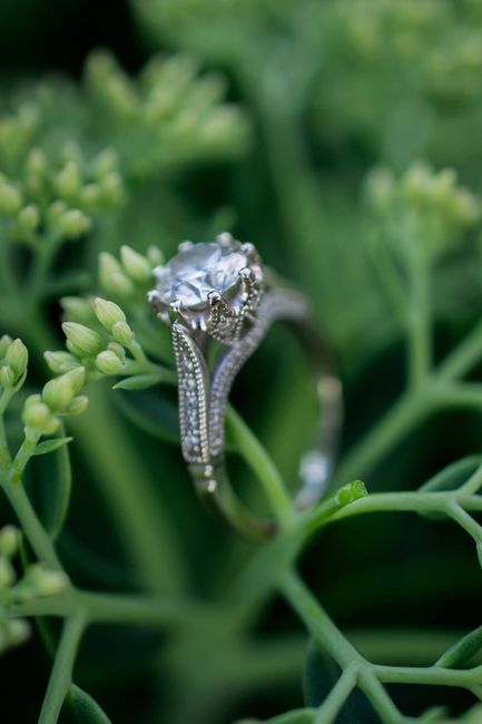Engagament pic sneak peek!!! - 6