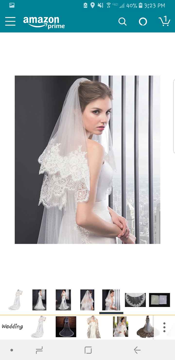 Bridal Veil.....decision, decision!!! - 1