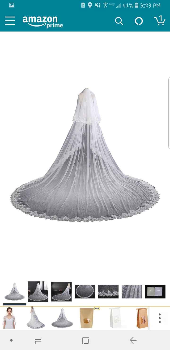 Bridal Veil.....decision, decision!!! - 2