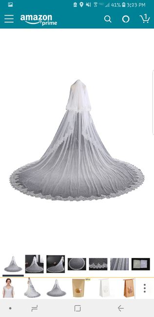 Bridal Veil.....decision, decision!!! - 2