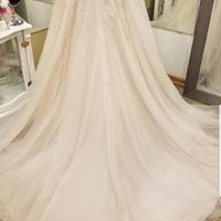 Does Your Dress Have a Train? - 1