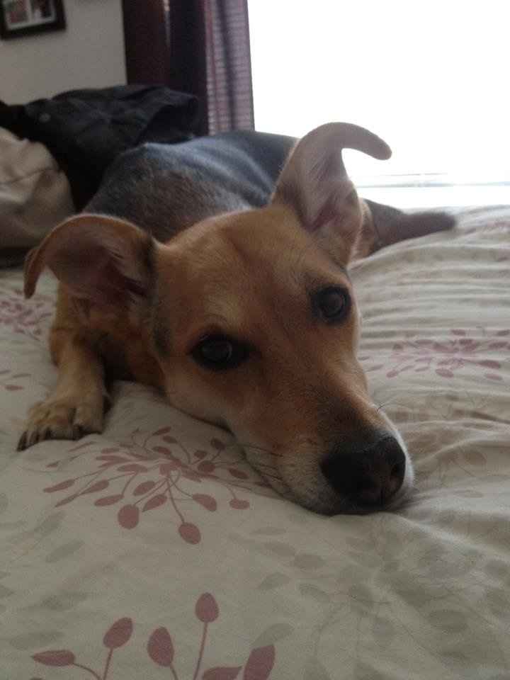 Just for fun, lets see your crazy pet child....