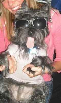 Show me your fur baby! (it has been awhile and I love seeing the pets!)