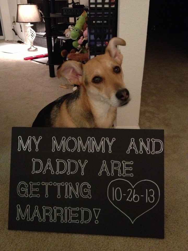 My first ever wedding DIY is done....