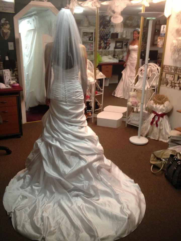 Final Dress Fitting...pics included!!