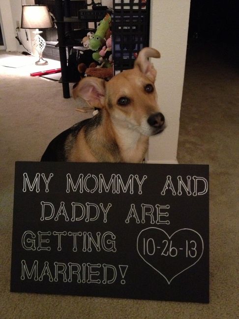 My first ever wedding DIY is done....