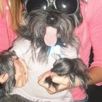 Show me your fur baby! (it has been awhile and I love seeing the pets!)