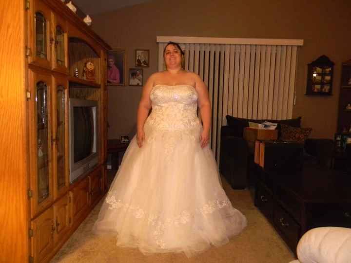 Plus Size Lace or Tulle Wedding Dresses -- show me yours?