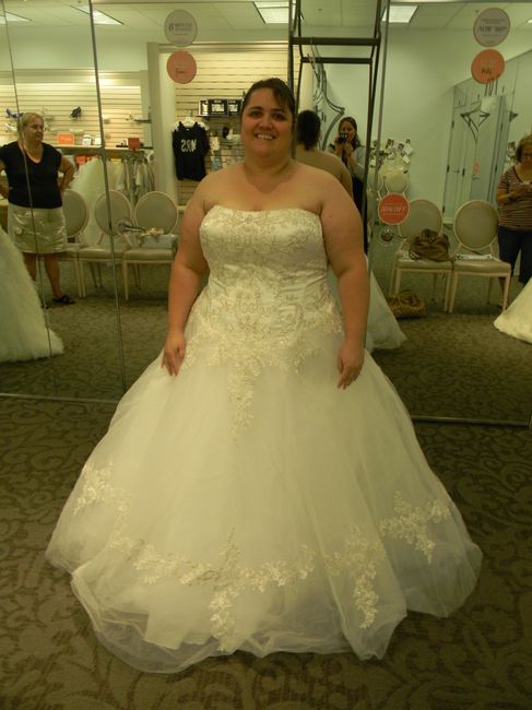 How much was your dress?