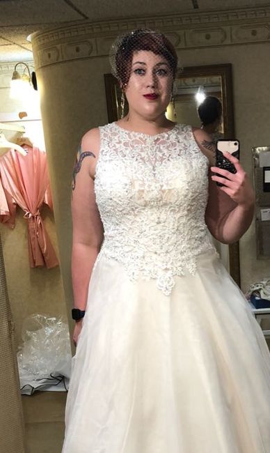 Plus size brides? - 1