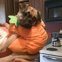 NWR: What kind of dog do you have?