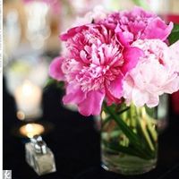 Need some inspiration...Pink and Brown