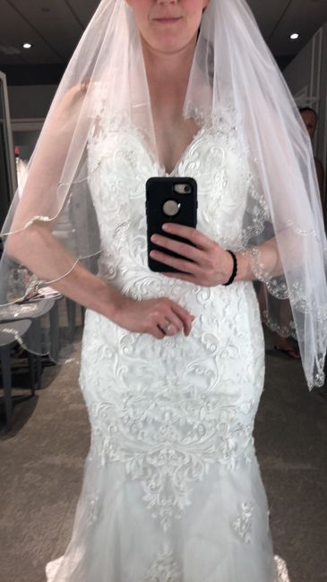 Let me see your veils!! 2