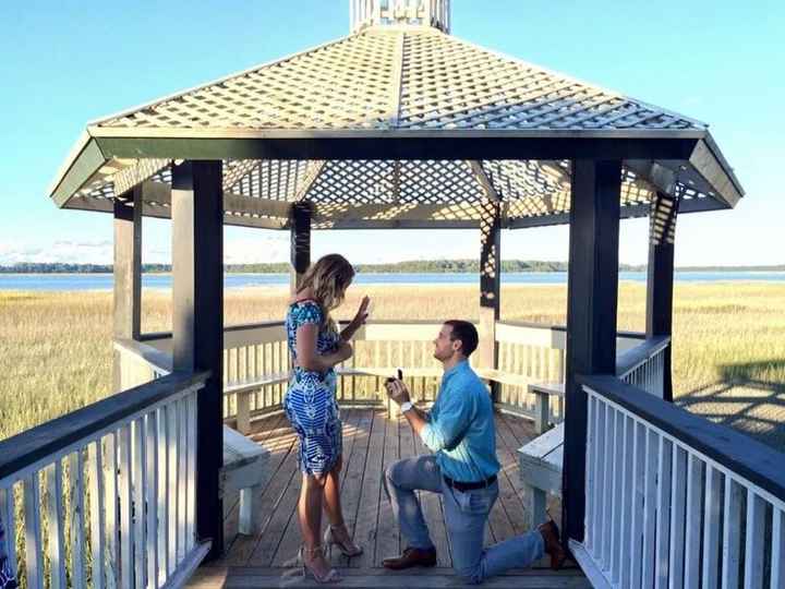 Proposal pictures!