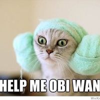 HELP! Is this a terrible idea?!