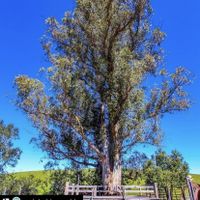 What Sold You On Your Venue? - 1