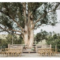 What Sold You On Your Venue? - 1