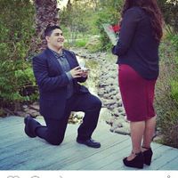 Proposal photos